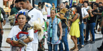 Dezembro Verde: ação incentiva a adoção responsável e o combate ao abandono de animais