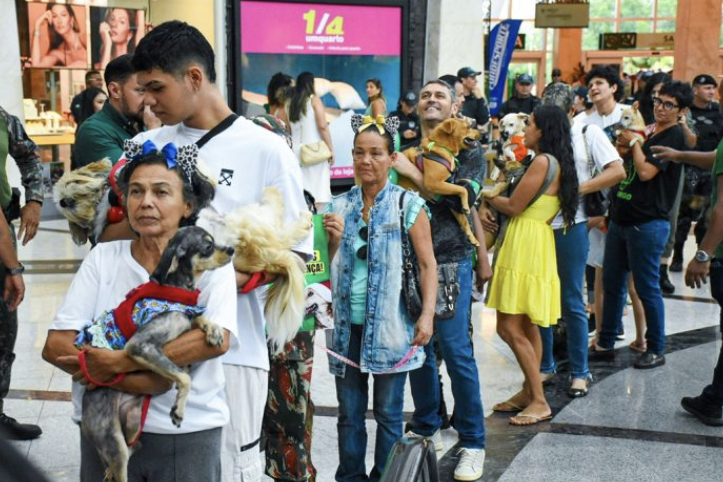 Dezembro Verde: ação incentiva a adoção responsável e o combate ao abandono de animais