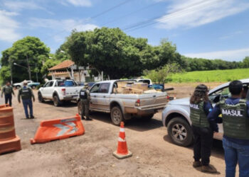 Operação Piracema já apreendeu mais de 400 quilos de pescado em MS