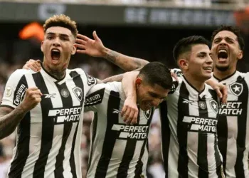 Botafogo, campeão brasileiro após 29 anos