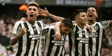 Botafogo, campeão brasileiro após 29 anos