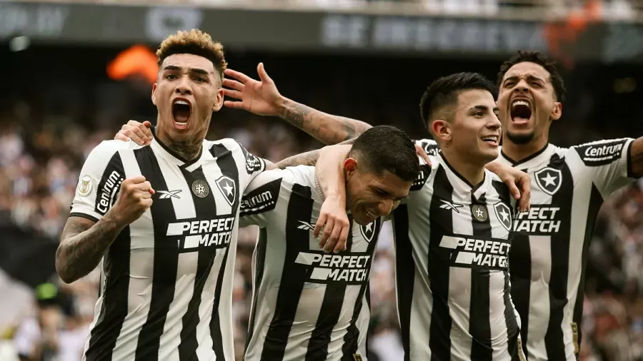 Botafogo, campeão brasileiro após 29 anos