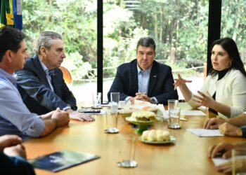 Ao lado de Riedel e ministra Simone, Paulo Corrêa discute crise no agronegócio 