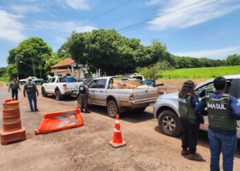 Primeiro balanço da Operação Piracema aponta para sucesso nas ações de fiscalização