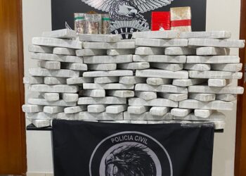 Caminhoneiro é flagrado com 100 kg de maconha na BR-262 e acaba preso em Campo Grande