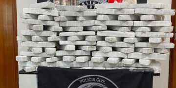 Caminhoneiro é flagrado com 100 kg de maconha na BR-262 e acaba preso em Campo Grande