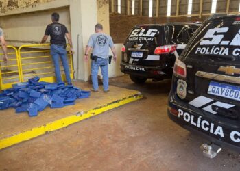 Polícia Civil incinera mais de 400 kg de cocaína em Dourados