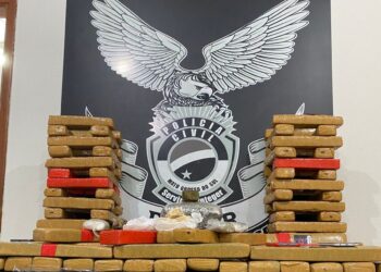 DENAR desarticula depósito de drogas no bairro Jardim Sumatra