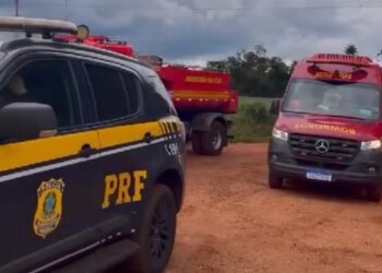 Homem morre picado por abelhas ao tentar fugir da PRF em MS