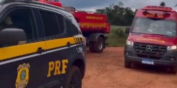 Homem morre picado por abelhas ao tentar fugir da PRF em MS