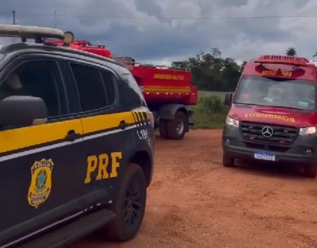 Homem morre picado por abelhas ao tentar fugir da PRF em MS