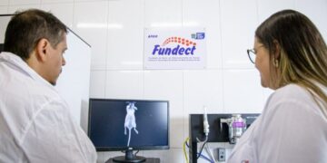 Governo de Mato Grosso do Sul anuncia vencedores do Prêmio Fundect Pesquisador sul-mato-grossense 2024