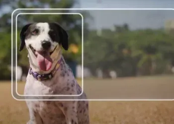 MS implementa novo sistema de Registro Geral Animal (RGA)