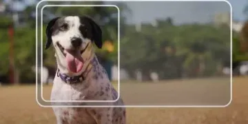 MS implementa novo sistema de Registro Geral Animal (RGA)