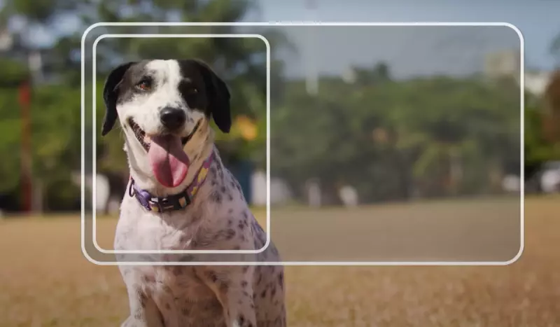 MS implementa novo sistema de Registro Geral Animal (RGA)