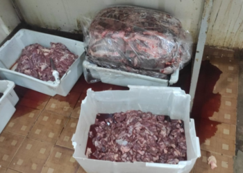 Proprietário de espetaria é preso e 370 kg de carne imprópria para consumo é apreendidos em Campo Grande
