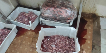 Proprietário de espetaria é preso e 370 kg de carne imprópria para consumo é apreendidos em Campo Grande