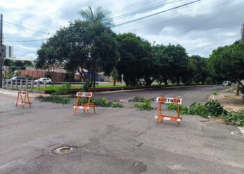 Caminhão arranca fiação em avenida Ernesto Geisel na véspera de Natal