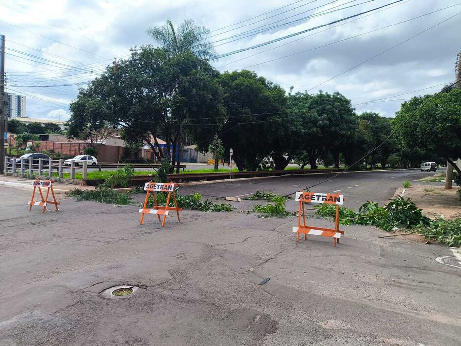 Caminhão arranca fiação em avenida Ernesto Geisel na véspera de Natal