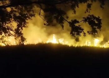 Indígena é preso após ameaçar idosa e incendiar vegetação em Aral Moreira