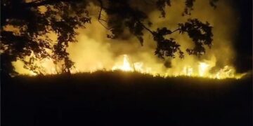 Indígena é preso após ameaçar idosa e incendiar vegetação em Aral Moreira