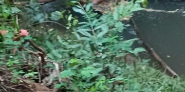 Corpo é encontrado só de cueca em córrego de Campo Grande