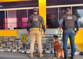 PRF apreende 237 kg de cocaína em caminhão na BR-267
