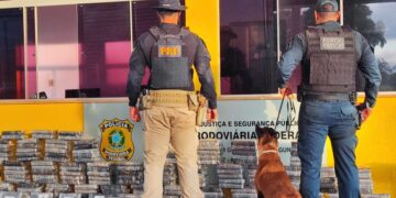 PRF apreende 237 kg de cocaína em caminhão na BR-267