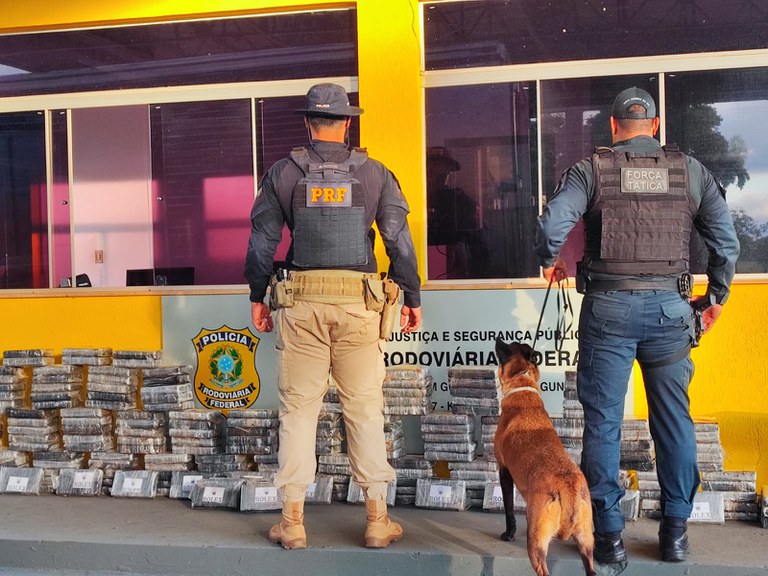 PRF apreende 237 kg de cocaína em caminhão na BR-267
