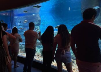 Bioparque Pantanal realiza manutenções e reabre ao público em 7 de Janeiro