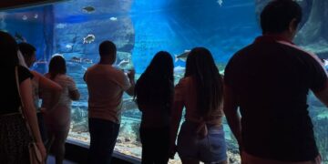 Bioparque Pantanal realiza manutenções e reabre ao público em 7 de Janeiro