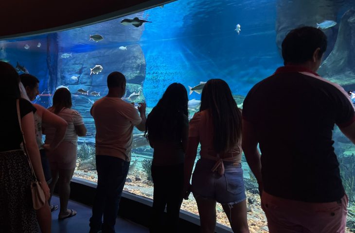 Bioparque Pantanal realiza manutenções e reabre ao público em 7 de Janeiro