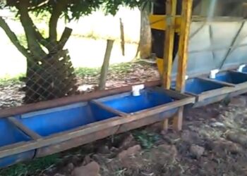 Criança de 3 anos morre afogada em caixa d’água em MS