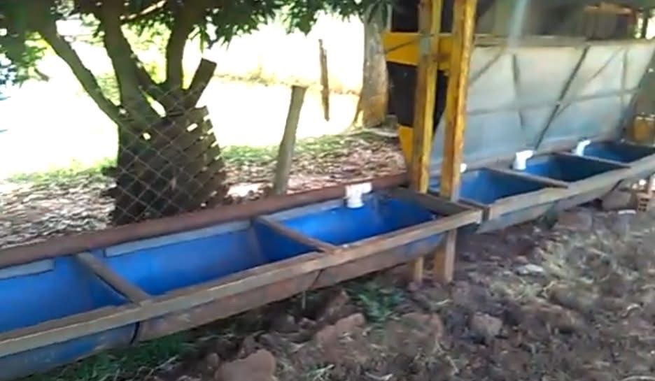 Criança de 3 anos morre afogada em caixa d’água em MS