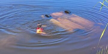 Vídeo: família morre após carro capotar e cair em rio em MS; condutor teria bebido 