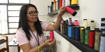 Mato Grosso do Sul se destaca no cenário nacional de empreendimentos inovadores