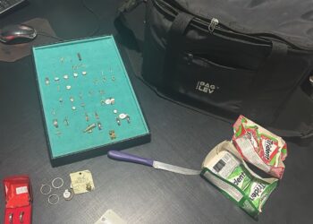 Polícia Civil de Bonito prende suspeito de vários furtos na cidade