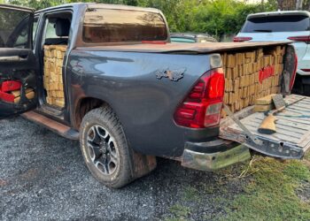 Polícia de Bela Vista apreende 1.495kg de maconha e prende traficantes em flagrante