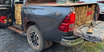 Polícia de Bela Vista apreende 1.495kg de maconha e prende traficantes em flagrante