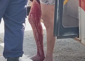 Vídeo: Homem leva facada ao defender passageira em ônibus na Capital 