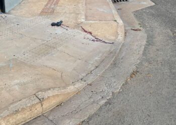 Morre foragido baleado enquanto batia em mulher no Portal Caiobá
