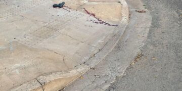 Morre foragido baleado enquanto batia em mulher no Portal Caiobá