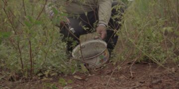 Mato Grosso do Sul é referência nacional no combate às arboviroses com inovação e tecnologia