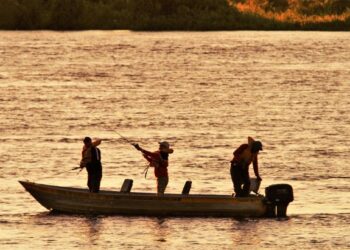 Prática do ‘Pesque e Solte’ é liberada no Rio Paraguai a partir de sábado
