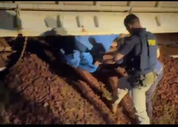 PRF e Receita Federal apreendem 650 Kg de drogas em caminhão na BR-262 em Corumbá