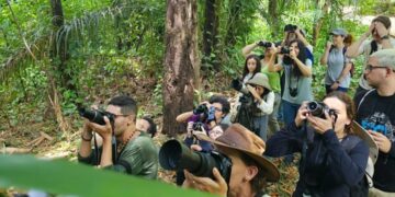 Lançamento do IV Cine Aves: Festival de cinema promove conservação de aves com tema Cerrado, Chaco e Pantanal