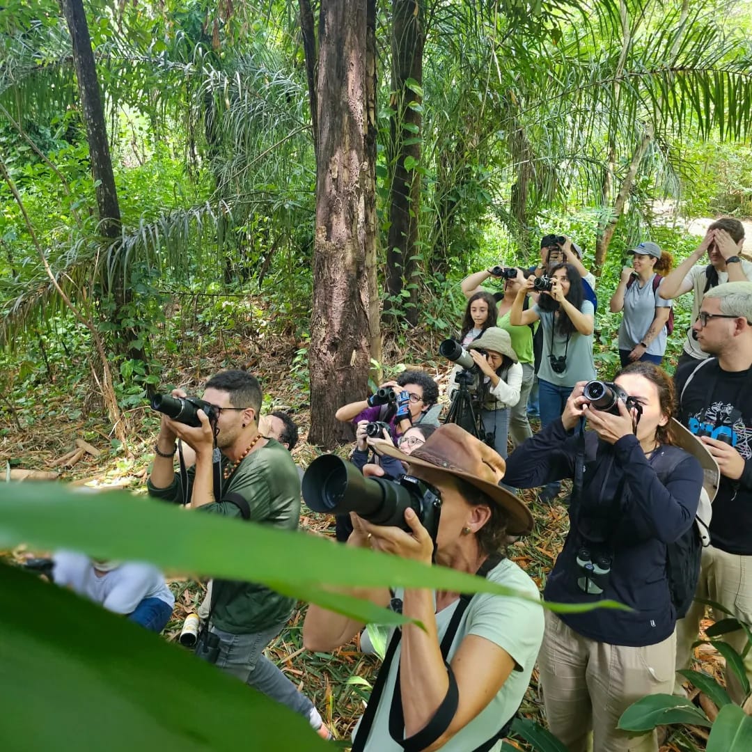 Lançamento do IV Cine Aves: Festival de cinema promove conservação de aves com tema Cerrado, Chaco e Pantanal