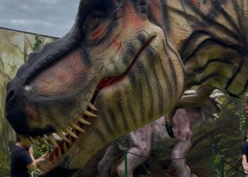 T-Rex Park traz experiência para encantar crianças e adultos em ambiente de aventura