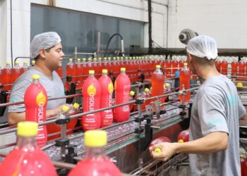 Mato Grosso do Sul termina 2024 com saldo positivo de empregos formais