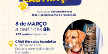 Prefeitura promove plantão de castração de cães e gatos no CRAS do Noroeste